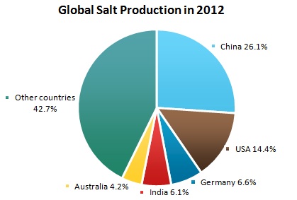 Salt Market Review